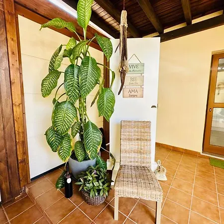 Aguaribay By Lovely * קורלחו