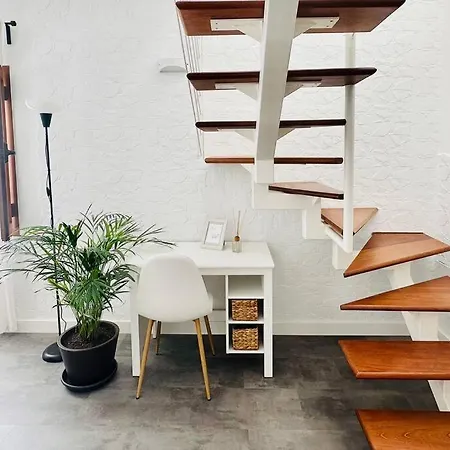 Aguaribay By Lovely * Corralejo